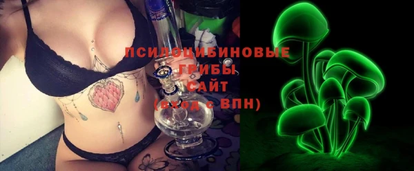 прущие грибы Алзамай