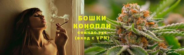 прущие грибы Алзамай