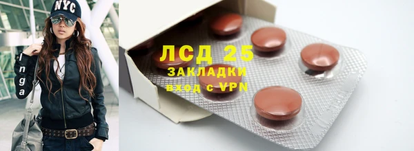 ГАЛЛЮЦИНОГЕННЫЕ ГРИБЫ Медногорск