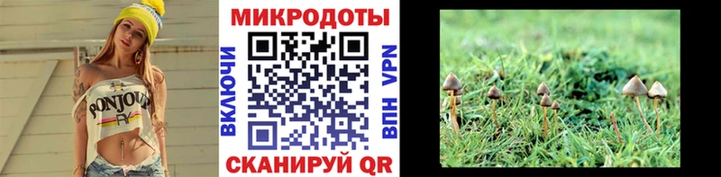где найти   Краснообск  Псилоцибиновые грибы GOLDEN TEACHER 